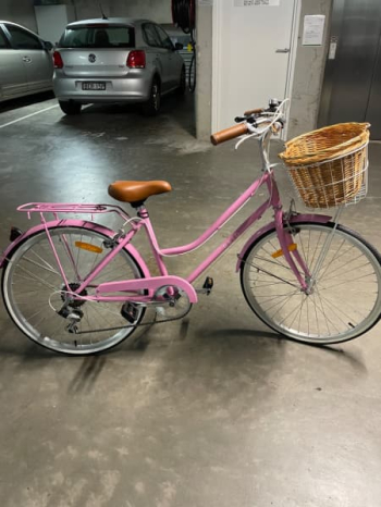 Ladies pushbike small