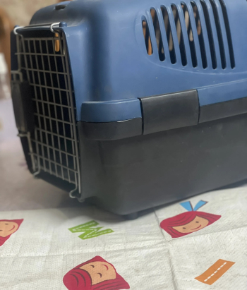 بوكس كبير مناسب كلاب وقطط مع مفرش نظافه