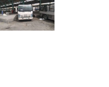 آليات ثقيلة للايجار في منطقة عسير السعودية