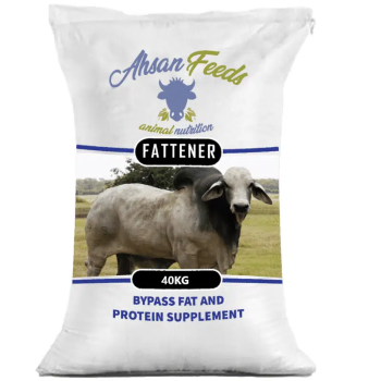 ORGANIC CATTLE FATTENER FEED | EXPORT QUALITY | AHSAN FEEDS