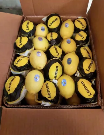 جميع انواع الخضار والفاكهة المستوردة