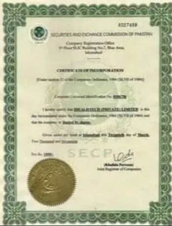 Maid cook chef nanny babysitter patient care couple aya butman nurse