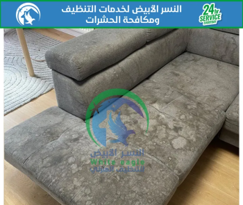 شركة تنظيف وتعقيم كنب كراسي سجاد مجالس شقق فلل منازل خزانات مطابخ مكافحة حشرات