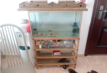 حوض سمك مصنوع من الالوميتال بحامل من الالوميتال بارفف كامل فيه 9 سمكات بلوازمه ك