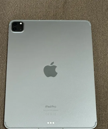 Apple 2022 11-inch iPad Pro (Wi-Fi + Cellular, 128GB) - Space Gray (4th generation)