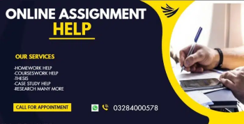 online assigment work available for male & female