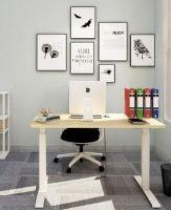 Lazy Maisons Adjustable Height Standing Desk