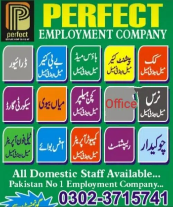 Maid/ Baby sitter/ patient attendant/ Cook / Helper/ Driver Etc