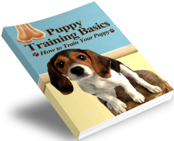 Puppy Training Basics Book