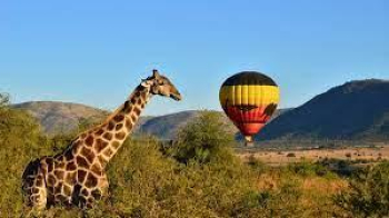 African Hot Air Balloon Safari Packages: A Unique and Unforgettable Experience