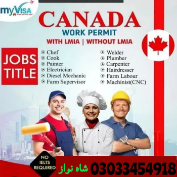 Job / Jobs in Canada / visa /Job Available /Staff Canada