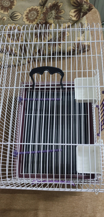 بيع قفص عصافير