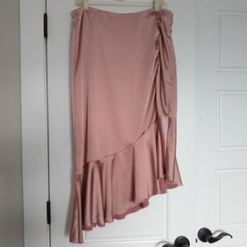 Bar III, Size 14, Pink Satin/Rose Skirt - Like new in West Jordan, Utah