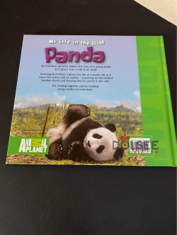 Animal Planet,My life in the wild-Panda by Weldon Owen. ||35qr ||Free ðŸšš inside doha