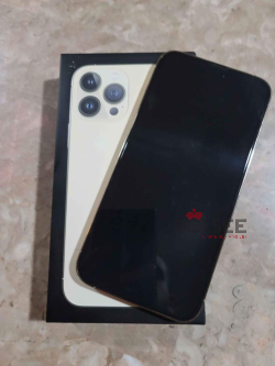 13 Pro Max Gold 256GB