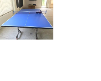 Table Tennis Tables