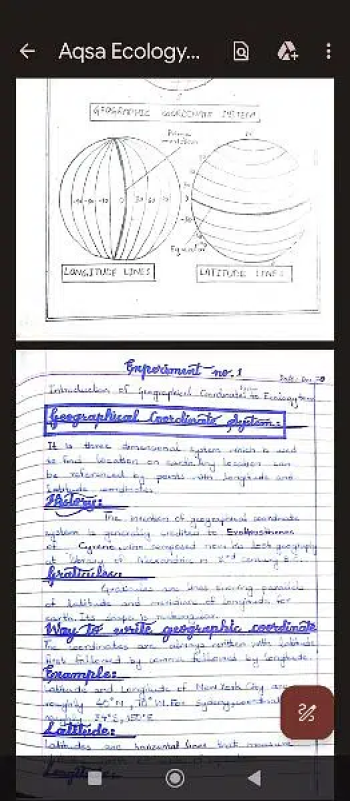handwriting assignment work