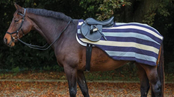 Get High-End Horse Tack At The Best Prices