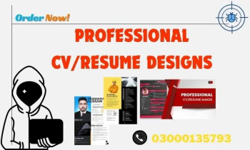 Create a beautiful one-page CV that highlights your strengths, skills.