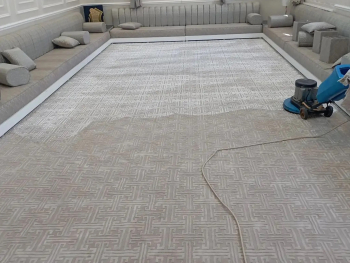 تنظيف الفلل والكنب والسجاد وتلميع وجلى الرخام تنظيف العزب والكباين ورش الحشرات تن