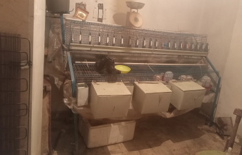 بطارية ارانب 8 عيون نص هرمى بحاله ممتازه للبيع