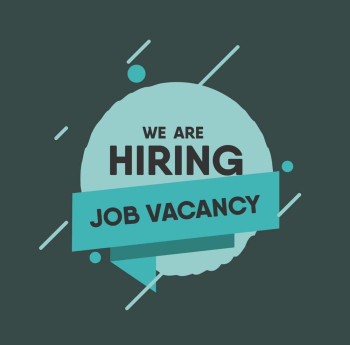 COMPLEX GENERAL ACCOUNTANT - SHERATON HOTELS - (22070538)