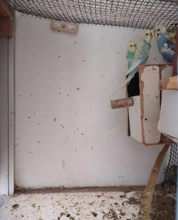 بيروج ،،سلا