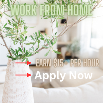 Flexible Work Arrangements - Work From Home Openings