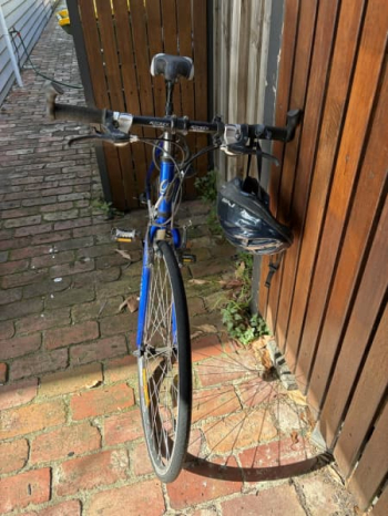 Jamis track adult bike