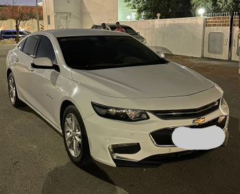 ماليبو خليجي 2017