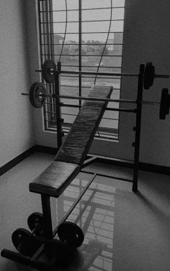 Gym equipment. Dumbbells rods bench etc