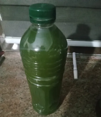 زيت زيتون فلسطيني معصور على البارد