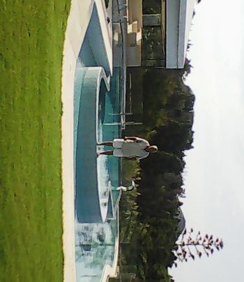 مقاولات عامة