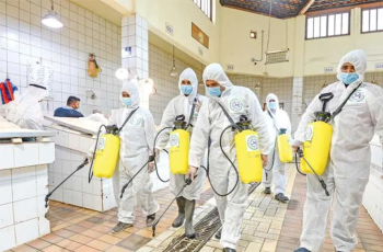 شركه تنظيف شامل وافضل مكافحه الحشرات