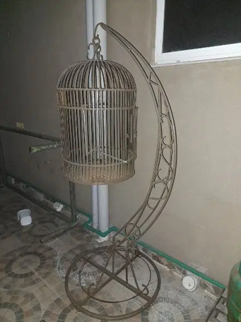 Bird Cage Used but Good Condition