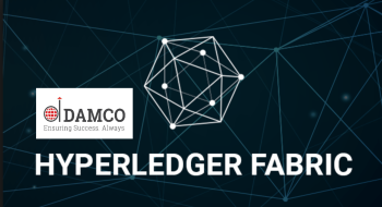 Create Sophisticated Data Exchange Solutions from a US-Based Hyperledger Company