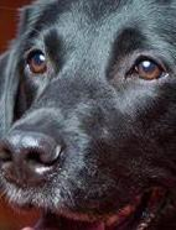 Don't let your hard-earned money go to waste.