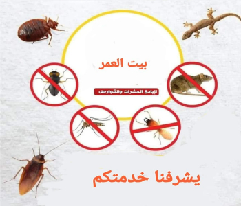 مكافحة الحشرات والزواحف والقوارض