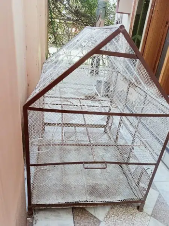 Birds Cage Pinjira