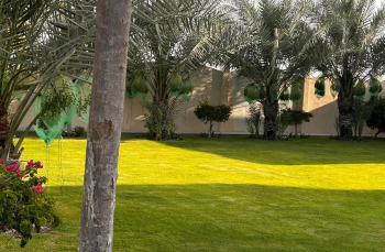 زراعه وديكور