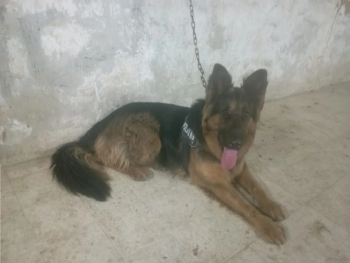 ............................................................................................. sohil