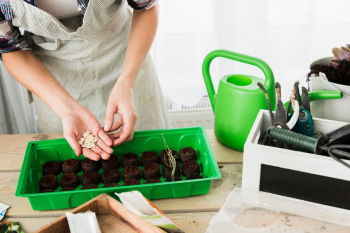Seed Starting Trays