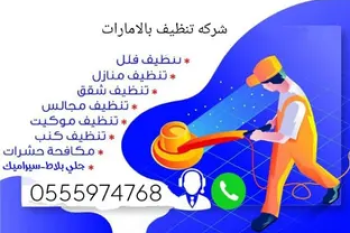 شركه تنظيف منازل ومكافحه الحشرات والتعقيم